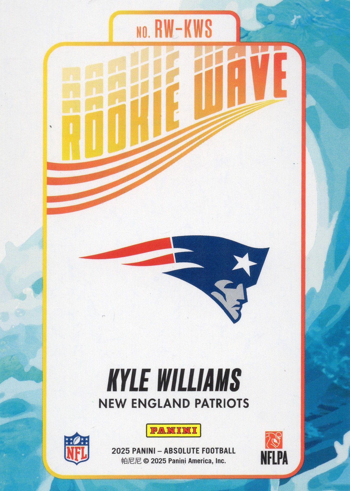 Kyle Williams — Back