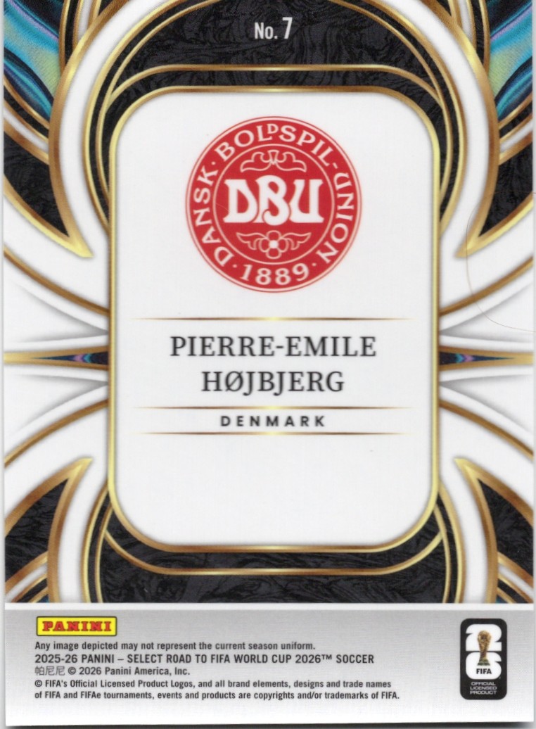 Pierre-Emile Højbjerg — Back